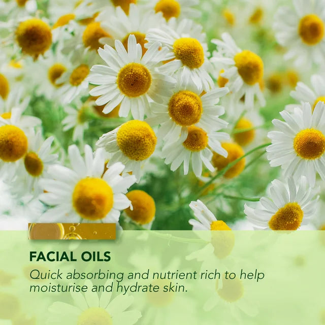 Chamomile & Apricot Facial Oil