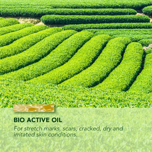Bio-Active Oil 50mL