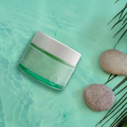 Hyaluronic Acid Day Cream