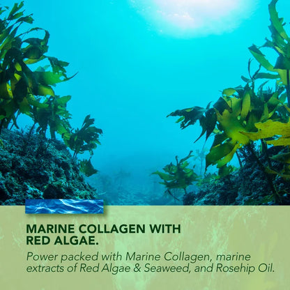 Marine Collagen Day Cream