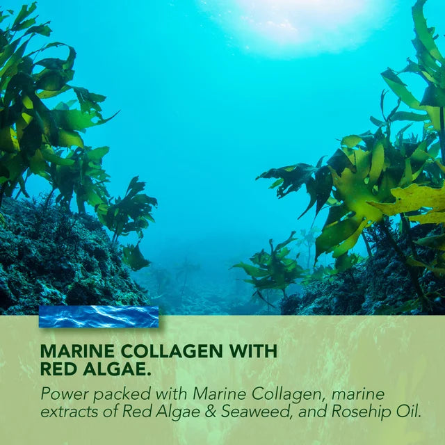 Marine Collagen Night Cream