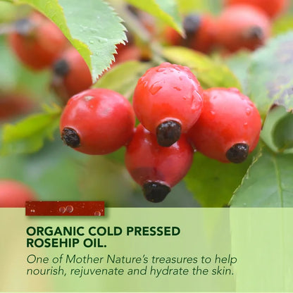 Anti-Aging Rosehip Oil - 15mL